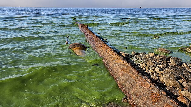 Nízká hladina odhalila výpusti směřující do Lipna. Vědci budou prověřovat, které jsou nelegální, kolik jich je funkčních a co trubkami a rourami do přehrady přitéká.