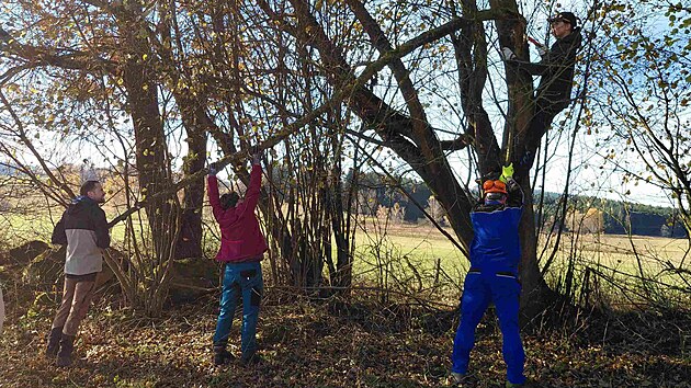 Dobrovolníci vyrazili na brigádu do Slepičích hor na Českokrumlovsku a obnovili tam kilometrovou trasu na stezce nedaleko Besednice a také Kaplice.