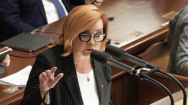 Schůze Poslanecké sněmovny. Na snímku Alena Schillerová (ANO). (26. listopadu 2025)