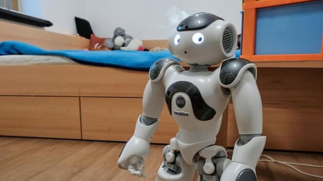Robot Robic je navržený speciálně pro terapeutické účely a provází klienty během denních činností.