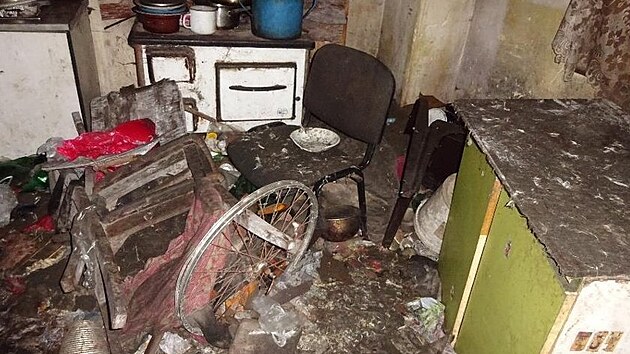 Veterináři odebrali muži šest psů, které choval ve zdevastované chatě v Nekmíři na Plzeňsku. V objektu byl hrozný nepořádek.