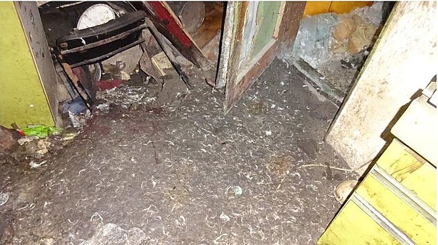 Veterináři odebrali muži šest psů, které choval ve zdevastované chatě v Nekmíři na Plzeňsku. V objektu byl hrozný nepořádek.