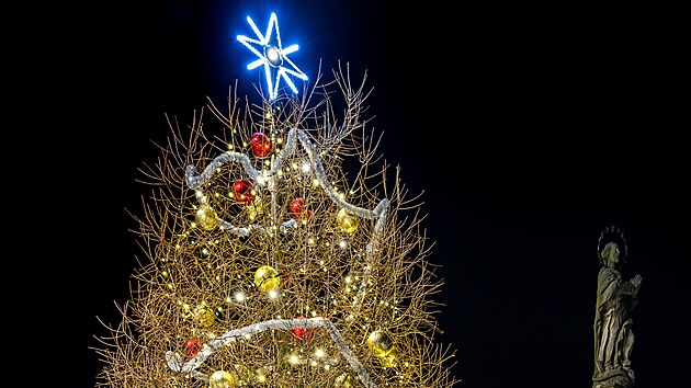 Na Novém Hrádku rozsvítili netradiční vánoční strom - modřín. (30. listopadu 2025)