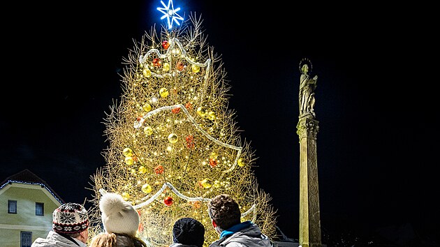 Agentura Dobrý den osvědčila, že ozdobený modřín na Novém Hrádku drží český rekord. (30. listopadu 2025)