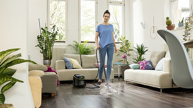 Není třeba bláznit před Vánocemi, stačí průběžně udržovat pořádek.