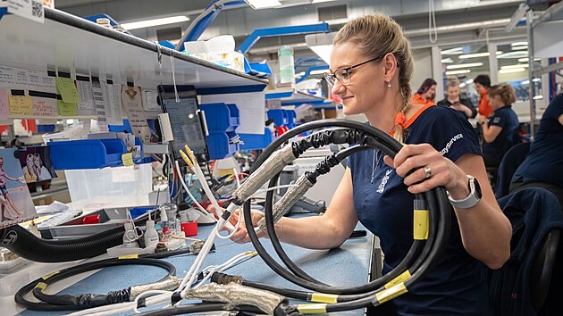 Společnost Ray Service se sídlem ve Starém Městě, je mezinárodním výrobcem kabelových svazků, elektromechanických celků a elektronických zařízení. (prosinec 2025)