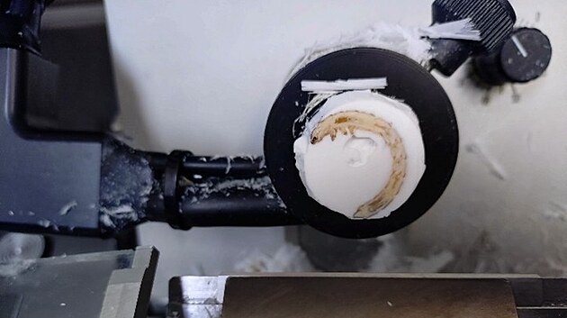 Larvy potemníka v laboratořích na Mendelově univerzitě v Brně dokážou rozkládat různé typy plastů. Pomáhají objasnit biodegradační mechanismy, které by mohly lidstvu pomoci v řešení likvidace odpadů. Prožerou polystyren i PET lahve.