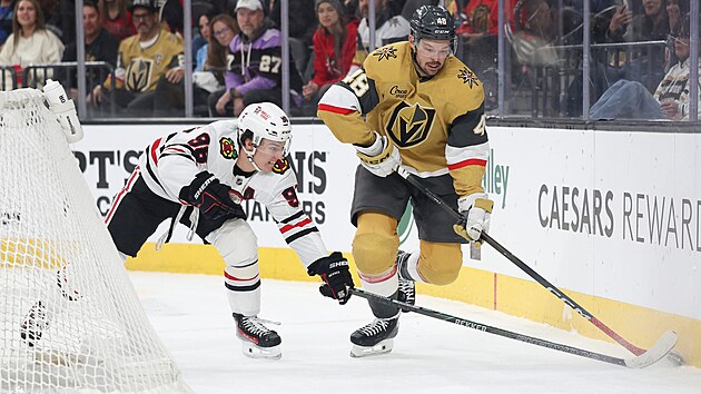 Tomáš Hertl drží u mantinelu puk před Connorem Bedardem.