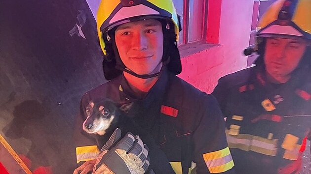 Při likvidaci požáru rodinného domu v Rychnově u Jablonce nad Nisou hasiči zachránili jednoho člověka a čtyři zvířata. (2. prosince 2025)
