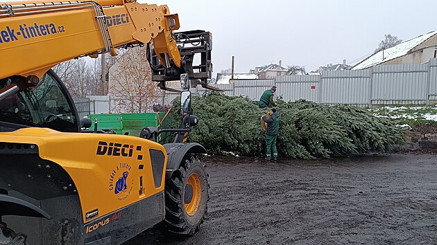 Pracovníci havlíčkobrodských Technických služeb vypravili vánoční strom na cestu dlouhou skoro 1100 kilometrů. Více než desetimetrová jedle z Lípy se stane základem té pravé vánoční atmosféry v holandském městečku Brielle na pobřeží Severního moře. Tradice darování stromu svým holandským přátelům trvá v Havlíčkově Brodě už 18 let.