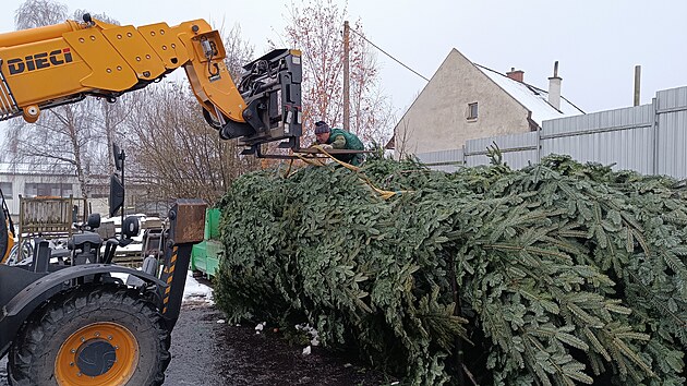 Pracovníci havlíčkobrodských Technických služeb vypravili vánoční strom na cestu dlouhou skoro 1100 kilometrů. Více než desetimetrová jedle z Lípy se stane základem té pravé vánoční atmosféry v holandském městečku Brielle na pobřeží Severního moře. Tradice darování stromu svým holandským přátelům trvá v Havlíčkově Brodě už 18 let.