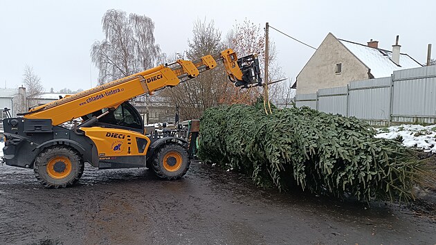 Pracovníci havlíčkobrodských Technických služeb vypravili vánoční strom na cestu dlouhou skoro 1100 kilometrů. Více než desetimetrová jedle z Lípy se stane základem té pravé vánoční atmosféry v holandském městečku Brielle na pobřeží Severního moře. Tradice darování stromu svým holandským přátelům trvá v Havlíčkově Brodě už 18 let.