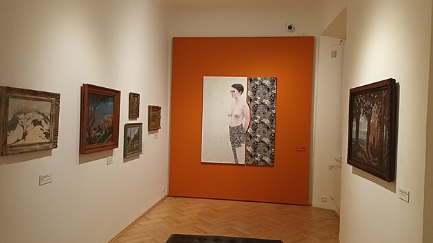 „Sbírání je nejdůležitější činností všech muzeí umění. Naše sbírka vzniká nepřetržitě od roku 1951 a dodnes je tím nejpodstatnějším, co odlišuje galerii od prosté výstavní síně,“ říká ředitelka galerie Dana Veselská.