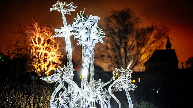 V botanické zahradě v Troji se rozsvítily skleněné květy. V zimní expozici Křišťálová zahrada od Jiřího Pačinka přibyly masožravky, liány i houby. (2. prosince 2025)