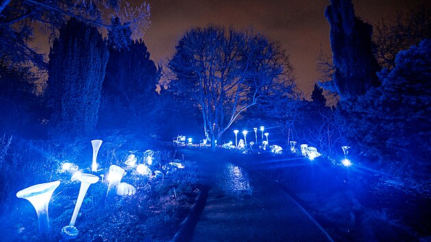 V botanické zahradě v Troji se rozsvítily skleněné květy. V zimní expozici Křišťálová zahrada od Jiřího Pačinka přibyly masožravky, liány i houby. (2. prosince 2025)