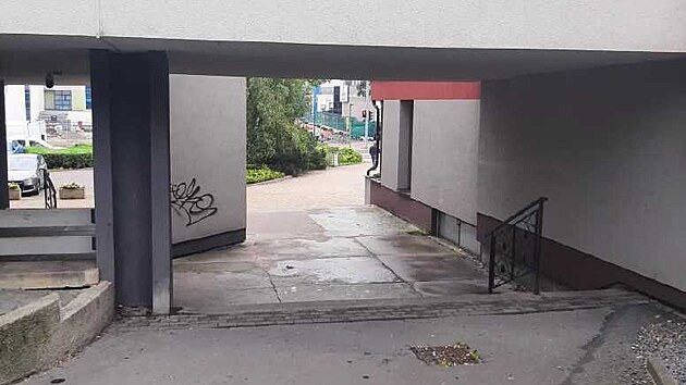 Kopřivnický strážník zaznamenal na městském kamerovém systému muže, který se podezřele pohyboval kolem skulptury, a po jeho odchodu bylo zřejmé, že betonový monument posprejoval.