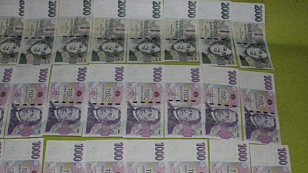 Kriminalisté zajistili množství prázdných i plných kanystrů, sudy, další předměty určené k přečerpávání pohonných hmot a také finanční hotovost.