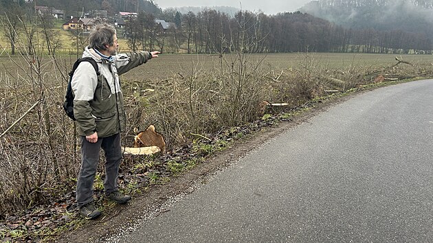 Ekolog Jan Piňos ukazuje vykácené stromořadí v Českém ráji.