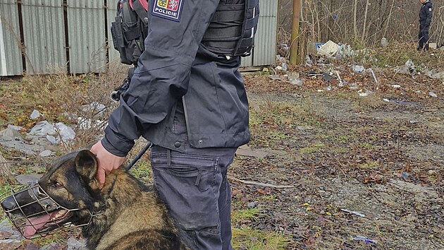 Policejní zátah se zaměřením na legálnost pobytu cizinců v jedné z ostravských tržnic. (16. prosince 2025)