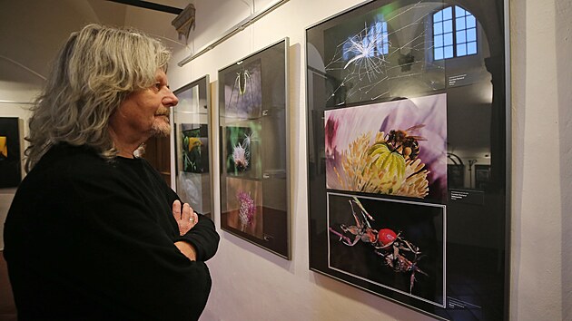 Čtyřiatřicet snímků, vyhodnocených porotou jako nejlepší, nyní muzeum vystavuje až do 1. února.