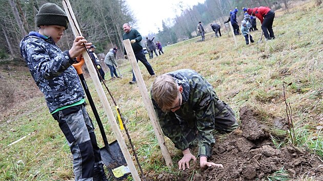 V Přibyslavi a okolí sází stromy i členové sdružení Opuka. V listopadu podél Borovského potoka vysadili 185 nových stromů.