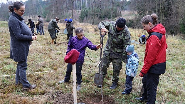 V Přibyslavi a okolí sází stromy i členové sdružení Opuka. V listopadu podél Borovského potoka vysadili 185 nových stromů.