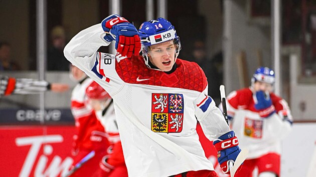 Proti Dánsku se prosadil také útočník Václav Nestrašil.