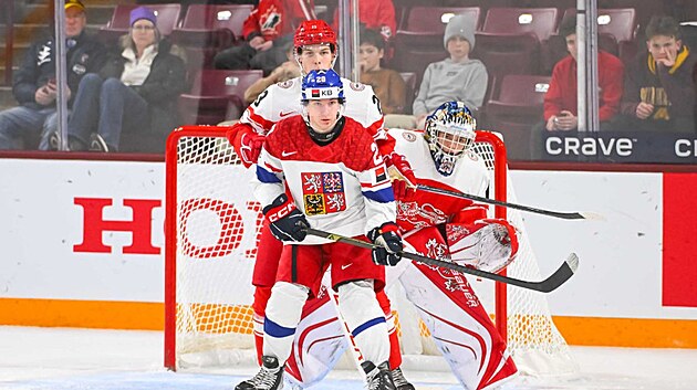 Adam Benák vyčkává před dánskou brankou.