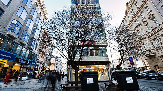 Česká ulice před zahájením další fáze stavebních prací na novém kolektoru, přeložce parovodu a přepojení. Javory v ulici musí ustoupit stavbě, dělníci je pokácejí ještě v lednu. Podle odborníků jsou ve špatné kondici, nedoporučili ani jejich přesazení jinam. (2. ledna 2026)