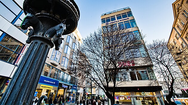 Česká ulice před zahájením další fáze stavebních prací na novém kolektoru, přeložce parovodu a přepojení. Javory v ulici musí ustoupit stavbě, dělníci je pokácejí ještě v lednu. Podle odborníků jsou ve špatné kondici, nedoporučili ani jejich přesazení jinam. (2. ledna 2026)