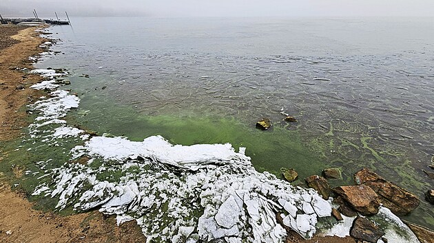 Zelený led na Lipně v prosinci 2025. (8. ledna 2026)