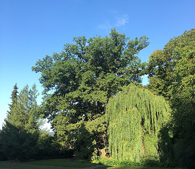 Památka nemocnice Tišnov