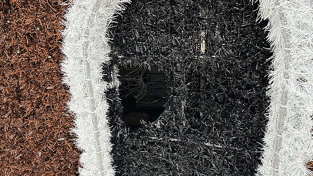 Opilec udělal hlavou díru do perníkové chaloupky v parku Na Sadech v Českých Budějovicích.