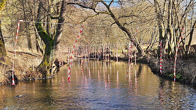 Provazo-fáborkové zábrany k omezení predačního tlaku kormoránů instalované na řece Střele