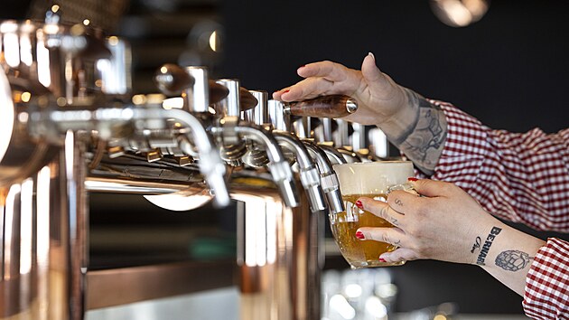 Základem nabídky oblíbené pivnice je špičkově ošetřené pivo, které je Na Štokách možné ochutnat rovnou z tanku. Kuchyně staví na lokálních surovinách a interpretaci klasických receptů.
