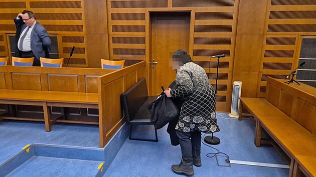 Žena je obžalovaná u Krajského soudu v Hradci Králové v případu týrání svěřené osoby. (15. ledna 2026)