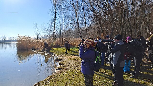 V rámci pozorování s ornitology mohou lidé vidět mnoho druhů vodních ptáků.