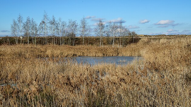 Areál mezi obcemi Mydlovary a Olešník sloužil pro chemickou úpravu uranových rud. (28. ledna 2026)