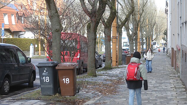 Stromořadí jasanů z jihlavské ulice 17. listopadu do konce března podle plánů magistrátu prakticky kompletně zmizí. Zůstanou jen mladé habry, nedávno zasazené ve vrchní části ulice.