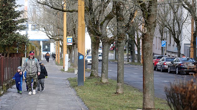 Stromořadí jasanů z jihlavské ulice 17. listopadu do konce března podle plánů magistrátu prakticky kompletně zmizí. Zůstanou jen mladé habry, nedávno zasazené ve vrchní části ulice.