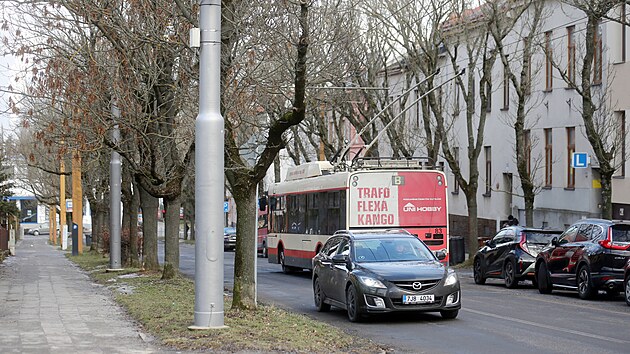 Stromořadí jasanů z jihlavské ulice 17. listopadu do konce března podle plánů magistrátu prakticky kompletně zmizí. Zůstanou jen mladé habry, nedávno zasazené ve vrchní části ulice.