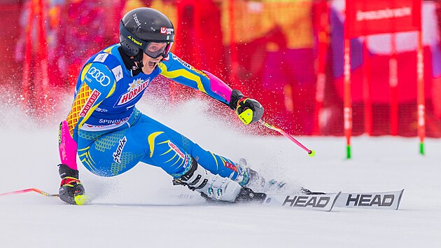 Sara Hectorová na světovém poháru v alpském lyžování žen ve Špindlerově Mlýně (24. ledna 2026)
