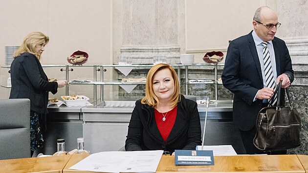 Jednání koaliční rady ANO, SPD a Motoristů proběhlo bez účasti premiéra Andreje Babiše a vicepremiéra Karla Havlíčka z ANO, kteří jsou v Bavorsku. Na snímku Alena Schillerová (ANO), která dnešní schůzi řídí. (9. února 2026)