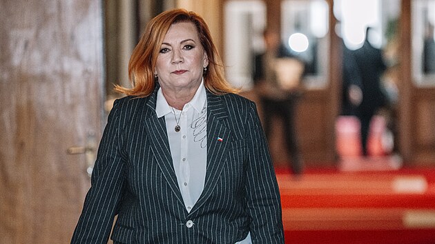 Ve Strakově akademii se sešla vláda. Ta mimo jiné projedná návrh zákona o odčerpání podezřelého majetku nebo návrh novely zákona o mezinárodní spolupráci při správě daní. Na snímku ministryně financí Alena Schillerová. (2. února 2026)