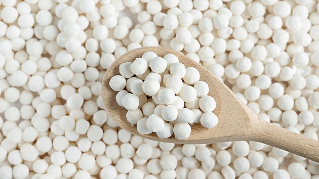 Tapioka, tapiokový pudink, tapiokové perly, tapioca pearls