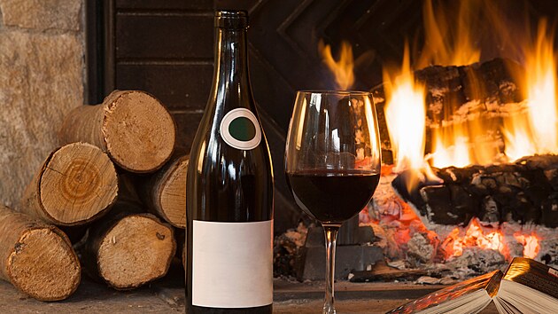 Alkohol je dobrý sluha, ale zlý pán.