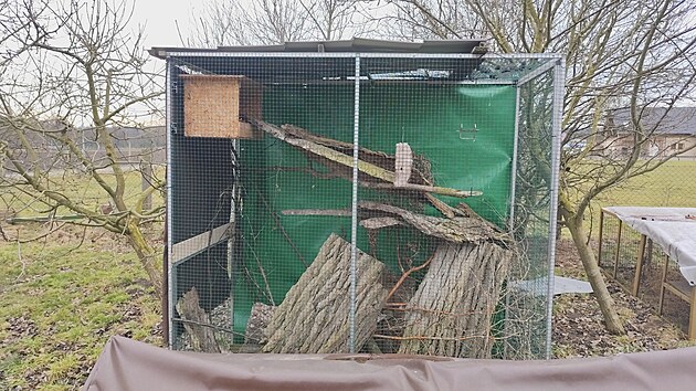 Jedna z voliér, která nabízí přírodní prostředí. V tlejícím dřevě mohou ptáci najít hmyz stejně jako v přírodě.