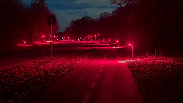 Osvětlení je promítáno z instalace jednometrových sloupků, rozmístěných ve vzdálenosti 30 metrů od sebe. Vytváří tak koridory úplné tmy, což umožňuje netopýrům a dalším druhům přecházet oblastí.