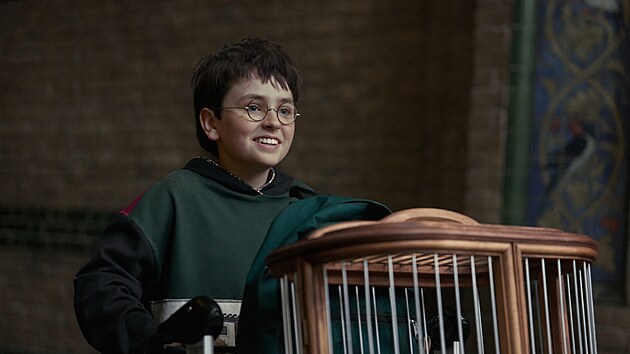Dominic McLaughlin v seriálu Harry Potter a Kámen mudrců