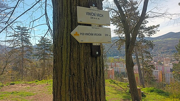 Viničn&iacute; vrch v č&aacute;sti Kr&aacute;sn&eacute; Březno v &Uacute;st&iacute; nad Labem (duben 2026)